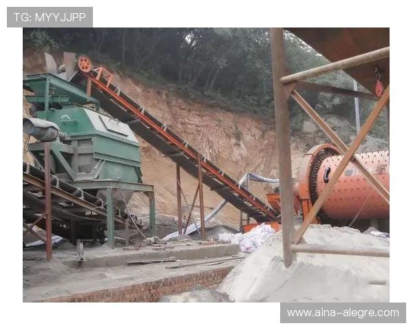 新罗娱乐：多平台联动打造全方位娱乐生态，满足不同用户的多样化需求