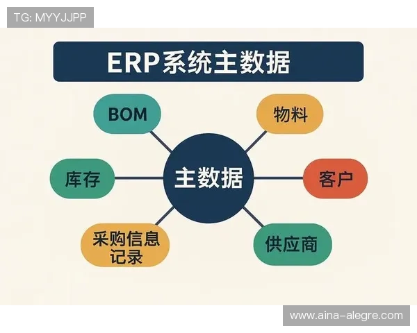 欧博管理网系统全面提升企业管理效率的最佳解决方案
